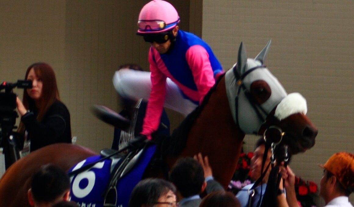 【武豊】宝塚記念 パドック メイショウタバル、ぬいぐるみの様な顔をしてレジェンドを待つ