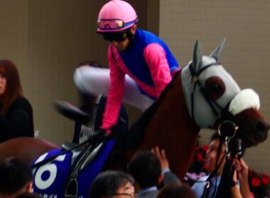 【武豊】宝塚記念 パドック メイショウタバル、ぬいぐるみの様な顔をしてレジェンドを待つ