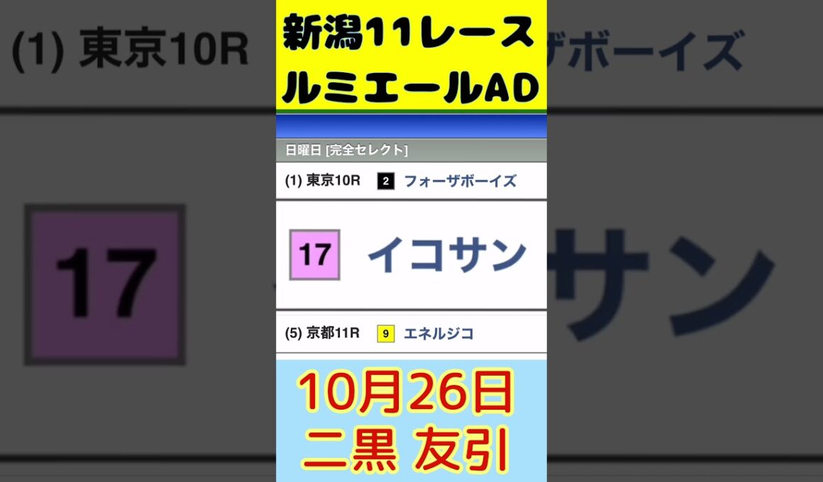 【WIN5】菊花賞は激戦の追い比べ！長距離は騎手で買う？ #win5予想 #中央競馬予想 #菊花賞