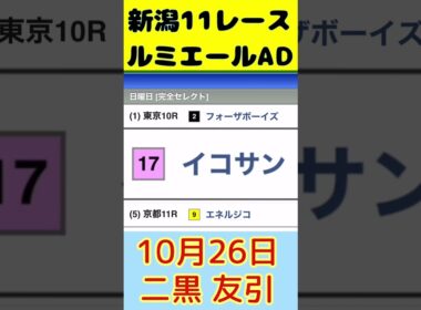 【WIN5】菊花賞は激戦の追い比べ！長距離は騎手で買う？ #win5予想 #中央競馬予想 #菊花賞