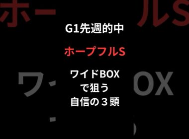 ホープフルSワイドBOXで狙う自信の３頭　＃競馬　＃ホープフルS
