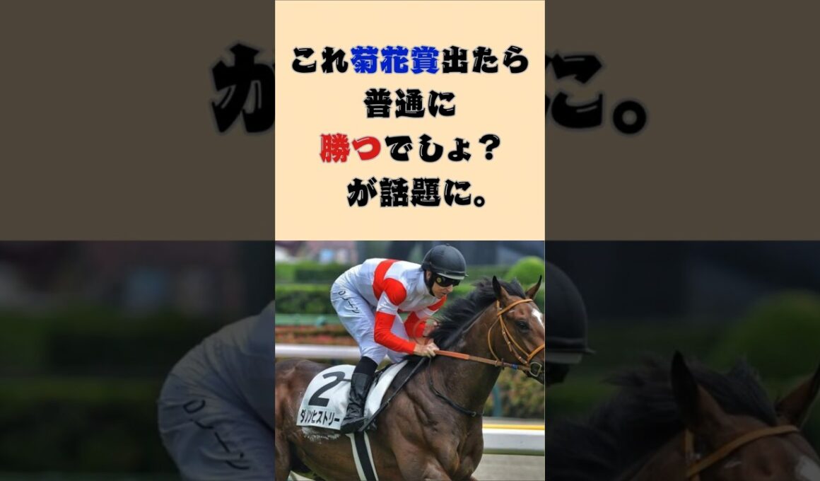 3歳クラシック戦線に新星！これ菊花賞出たら普通に勝つでしょ？が話題に。