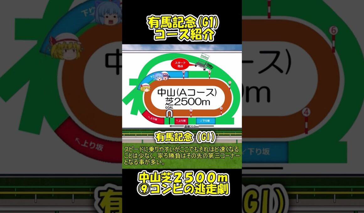 有馬記念コース紹介