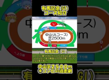 有馬記念コース紹介