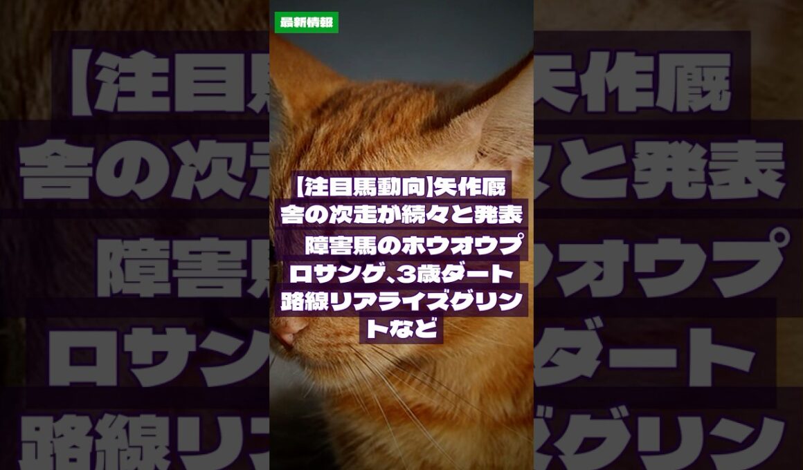 2026/7/7｜競馬情報｜【注目馬動向】矢作厩舎の次走が続々と発表　障害馬のホウオウプロサンゲ、3歳ダート路線リアライズグリントなど #Shorts