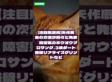 2026/7/7｜競馬情報｜【注目馬動向】矢作厩舎の次走が続々と発表　障害馬のホウオウプロサンゲ、3歳ダート路線リアライズグリントなど #Shorts