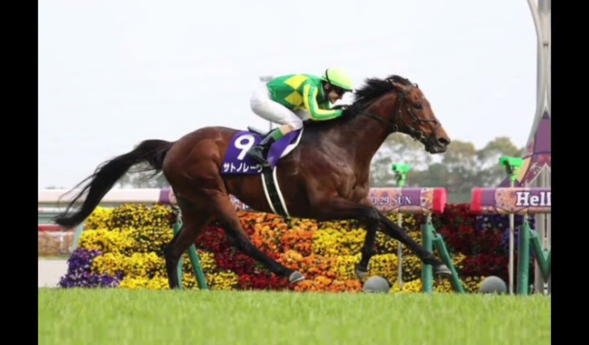 🏇🔥 サトノレーヴ悲願の海外GⅠ制覇へ！ルメールとの最強タッグでジュライカップ挑戦！世界制覇なるか？#ルメール #堀宣行 #日本競馬 #高松宮記念 #ニューマーケット #競馬ファン