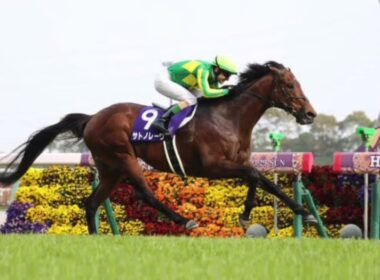 🏇🔥 サトノレーヴ悲願の海外GⅠ制覇へ！ルメールとの最強タッグでジュライカップ挑戦！世界制覇なるか？#ルメール #堀宣行 #日本競馬 #高松宮記念 #ニューマーケット #競馬ファン