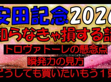 安田記念2026　知らなきゃ損する話