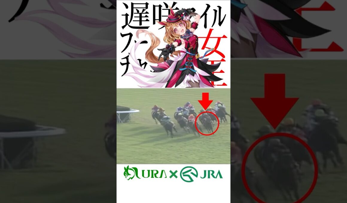 【目が覚める様な末脚】 #ノースフライト #マイルチャンピオンシップ #サクラバクシンオー #競馬 #ウマ娘 #シンデレラグレイ