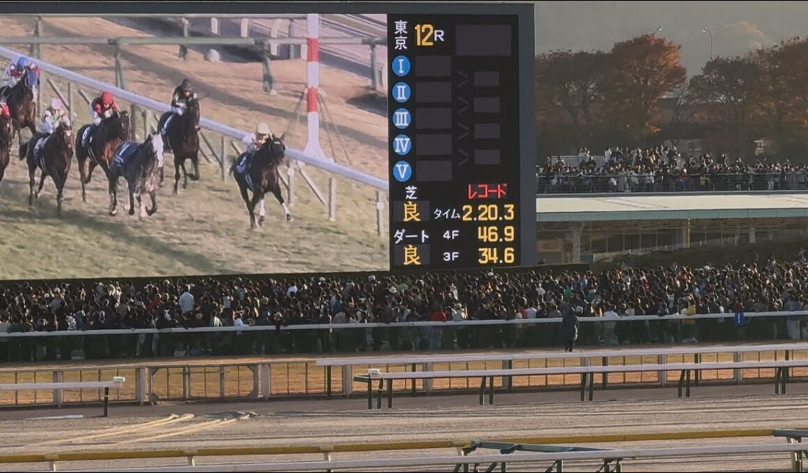 【衝撃の世界レコード】欧州最強馬カランダガンがマスカレードボールとの叩き合いを制す！【ジャパンカップ2025 現地直線レース映像】