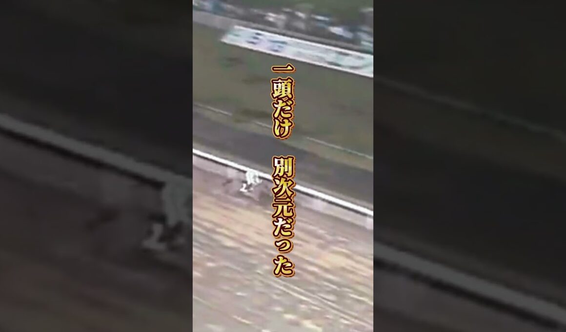 【ホクトベガ物語②】"砂の女王 18馬身差" 芝で消えかけた牝馬がダートで覚醒