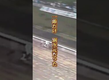 【ホクトベガ物語②】"砂の女王 18馬身差" 芝で消えかけた牝馬がダートで覚醒
