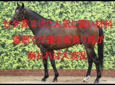 七夕賞　買い材料ある２けた人気を狙え！！道悪で斤量を背負う馬が崩れれば大波乱