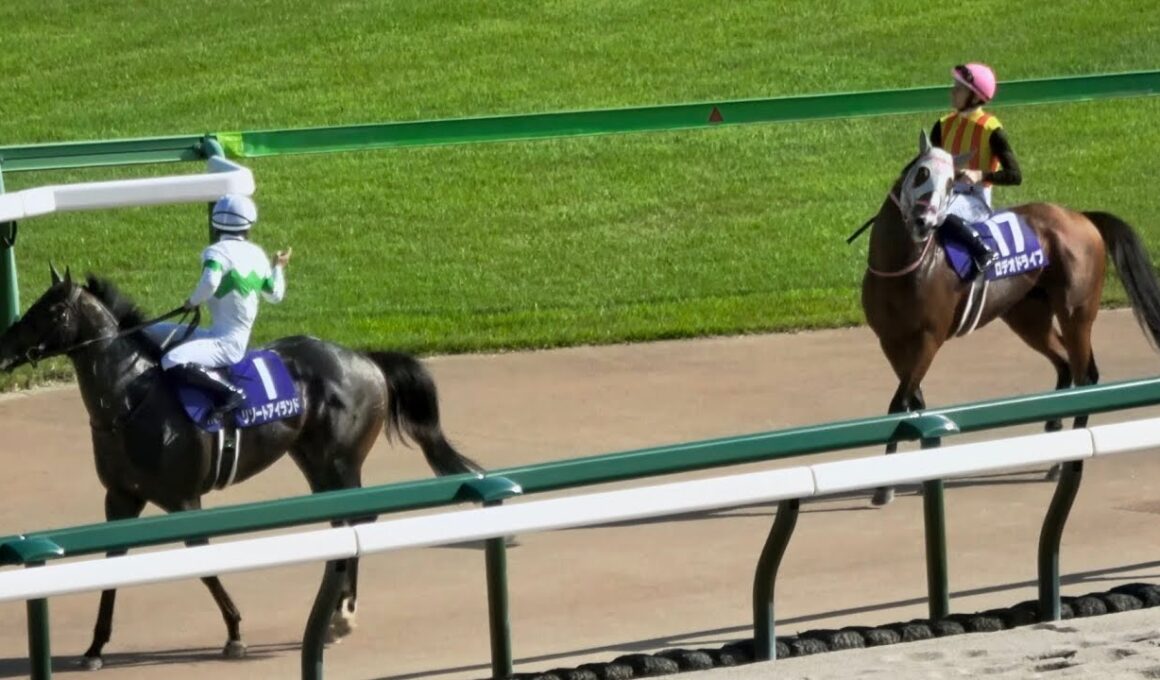 【NHKマイル2026】接戦のため写真判定に一度はウイニングランせずに帰ろうとするロデオドライブ 現地映像  生ファンファーレ付き