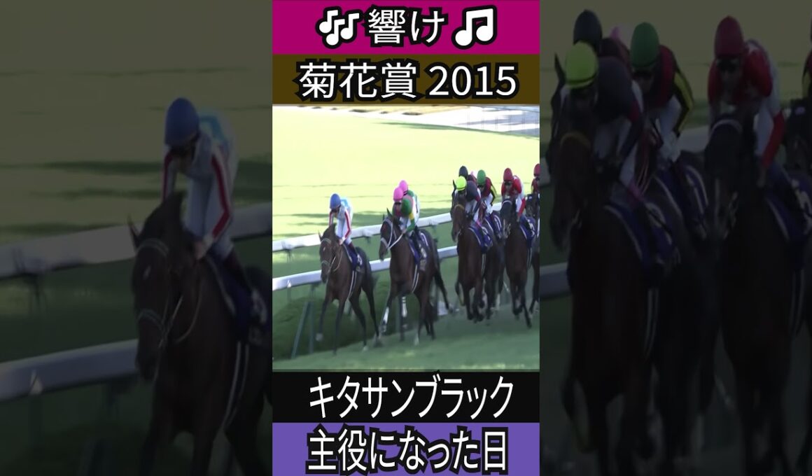 主役になった日 【菊花賞 2015】キタサンブラック #菊花賞 #キタサンブラック #北島三郎