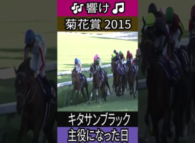 主役になった日 【菊花賞 2015】キタサンブラック #菊花賞 #キタサンブラック #北島三郎