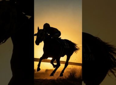 デュランダル｜実況も、前を見ていた。 #競馬 #競馬ドキュメンタリー #ウマ娘