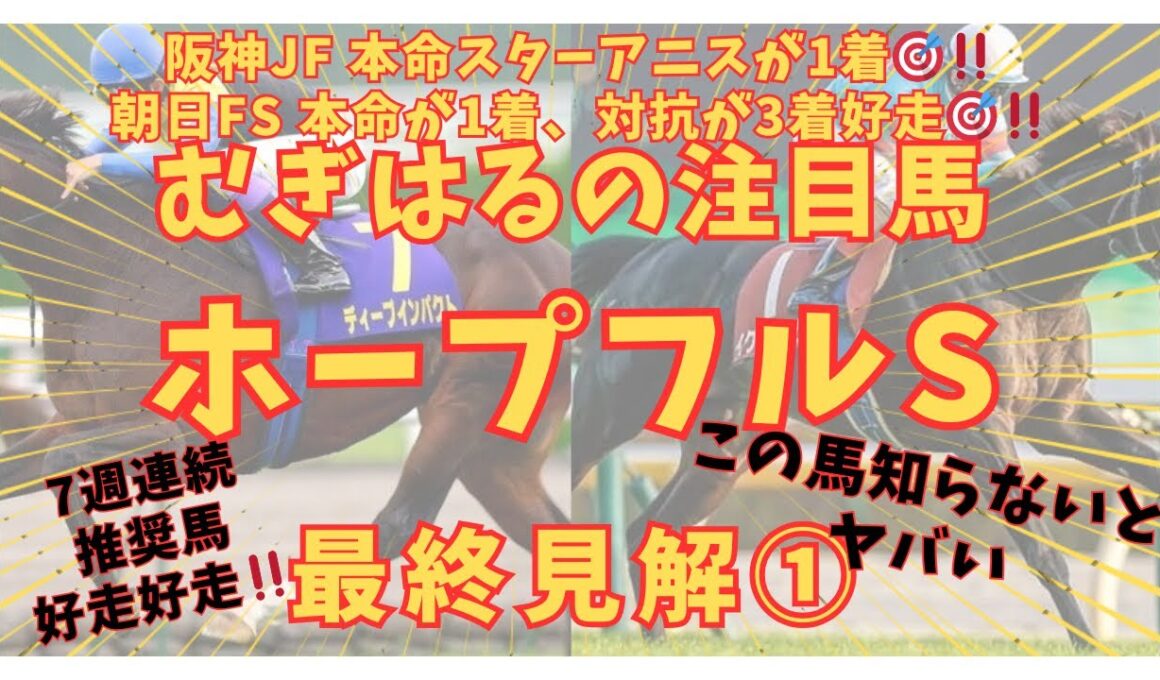 【ホープフルステークス2025】クラシックの最前線‼️前哨戦で圧勝●●がまた突き抜ける🎯