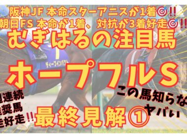 【ホープフルステークス2025】クラシックの最前線‼️前哨戦で圧勝●●がまた突き抜ける🎯