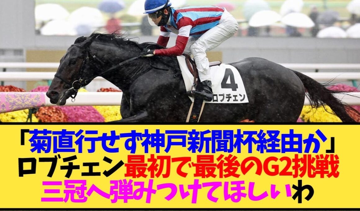 【次走報】ロブチェン、神戸新聞杯参戦が濃厚に…元気な近況も伝えられて一安心か【競馬】