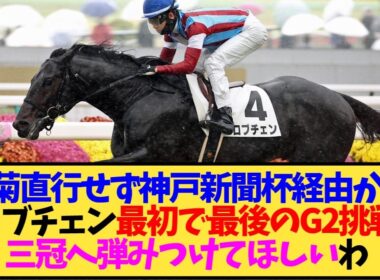 【次走報】ロブチェン、神戸新聞杯参戦が濃厚に…元気な近況も伝えられて一安心か【競馬】