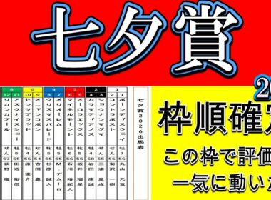 七夕賞2026枠順確定｜この並びで評価がガラッと変わった 16頭の位置取りと勝負どころを徹底診断【福島芝2000m】