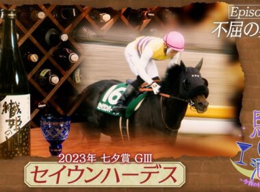 【セイウンハーデス】冥界の神様が天の川を掌握【 織姫の里】