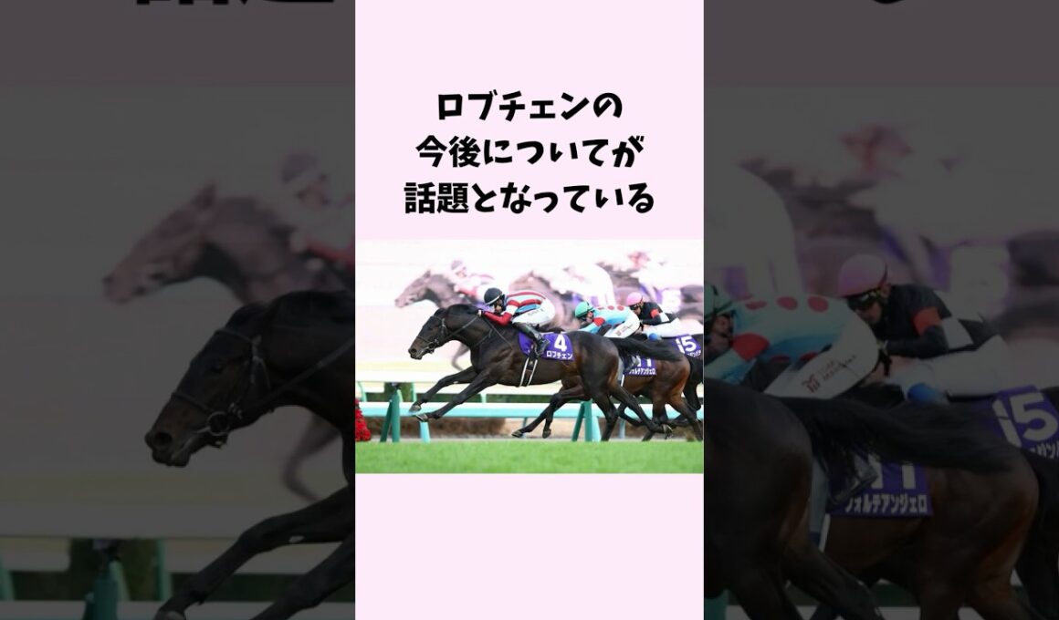 ロブチェンの今後についてが話題となっている　#競馬　#競馬予想　#ロブチェン　#菊花賞　#jra #shorts