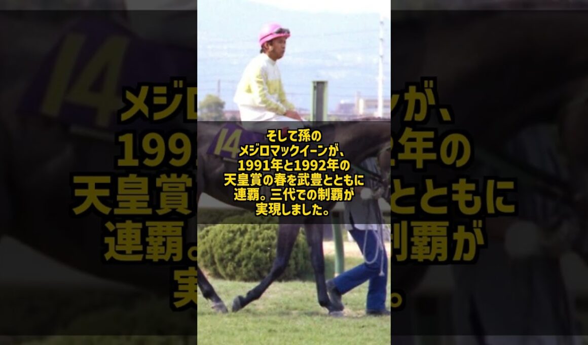 祖父も父も天皇賞馬 三代で頂点に立ったメジロマックイーンの血 #Shorts