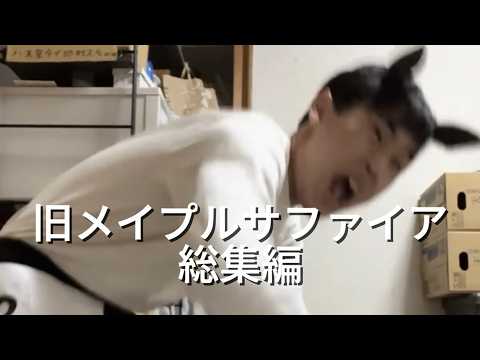 【総集編】旧メイプルサファイア 全レース集