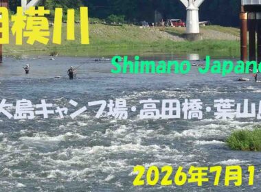 相模川・シマノジャパンカップ　#アユ釣り #相模川第一漁協 #上大島キャンプ場 #shimano #鮎 #友釣り #高田橋 #葉山島 2026年7月11日