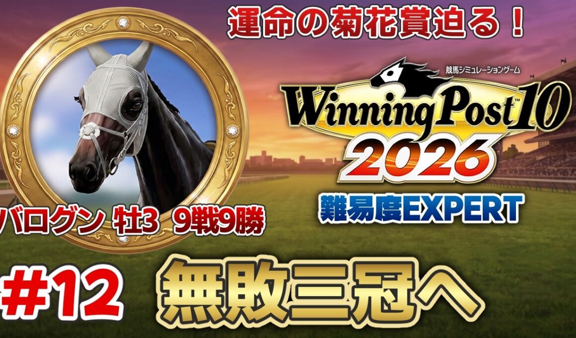 【ウイニングポスト10 2026】初の無敗三冠へ！運命の菊花賞迫る！初心者の馬主生活12日目！難易度EXPERT