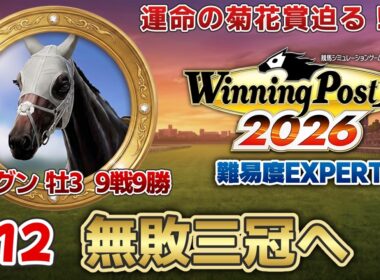 【ウイニングポスト10 2026】初の無敗三冠へ！運命の菊花賞迫る！初心者の馬主生活12日目！難易度EXPERT