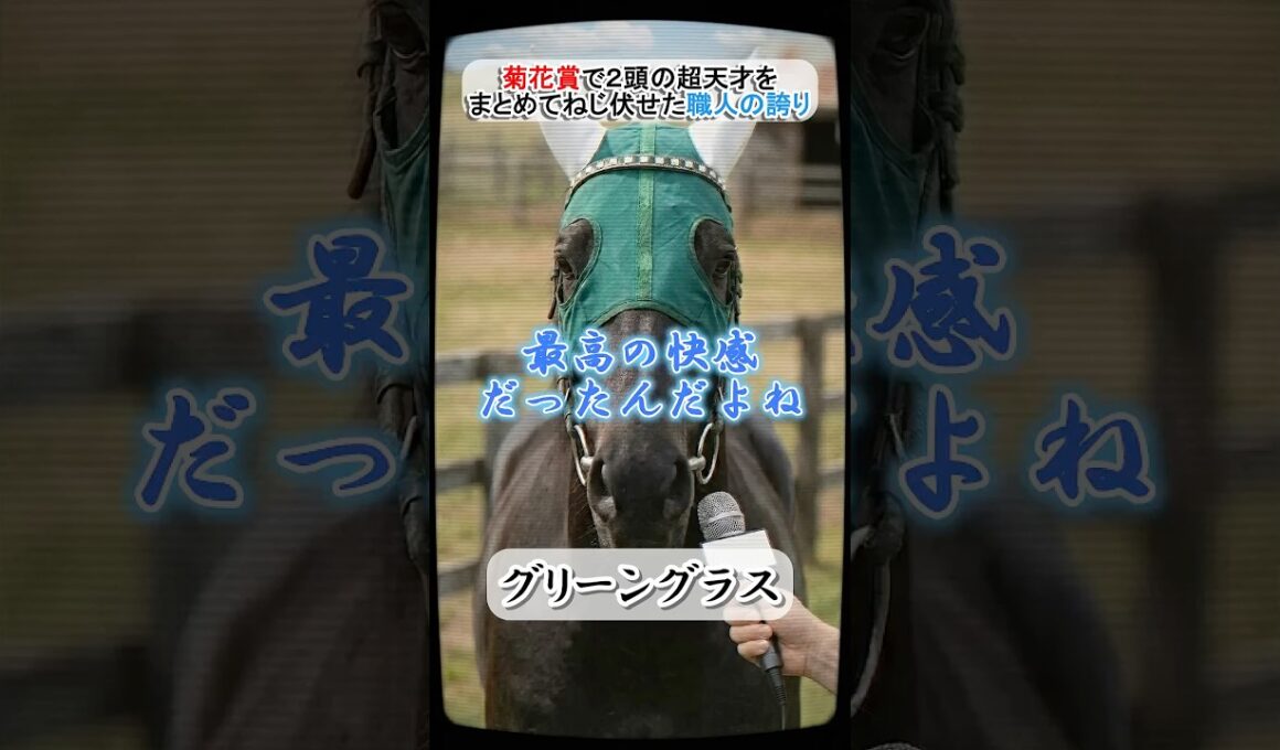 お上品な天才どもを引きずり降ろす！グリーングラスが嗤ったTTGの裏側 #グリーングラス #テンポイント #トウショウボーイ #菊花賞 #ウマ娘