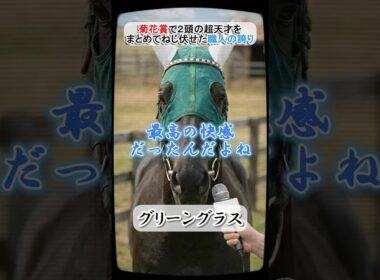お上品な天才どもを引きずり降ろす！グリーングラスが嗤ったTTGの裏側 #グリーングラス #テンポイント #トウショウボーイ #菊花賞 #ウマ娘