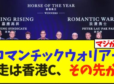 年度代表馬獲得のロマンチックウォリアー、次走は香港カップへ、その先が…【競馬】