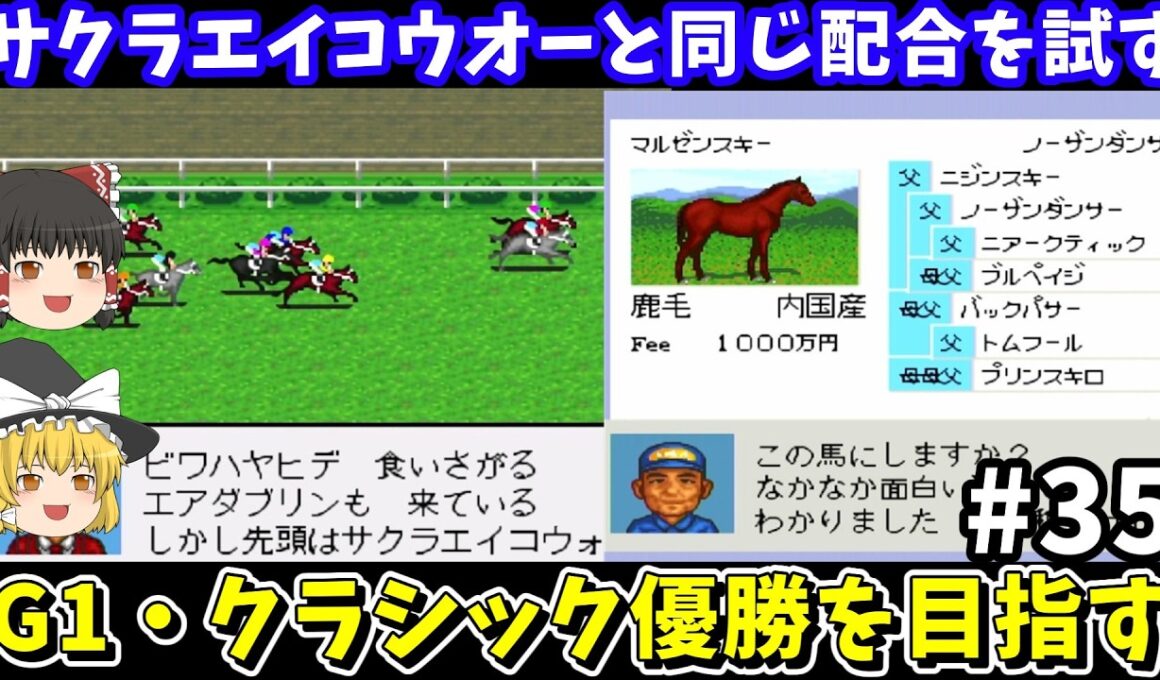 【ダビスタ96】サクラエイコウオーと同じ配合（マルゼンスキー×イズミマイヒメ）を試す！ダービースタリオン96【レトロゲームゆっくり実況】
