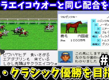 【ダビスタ96】サクラエイコウオーと同じ配合（マルゼンスキー×イズミマイヒメ）を試す！ダービースタリオン96【レトロゲームゆっくり実況】