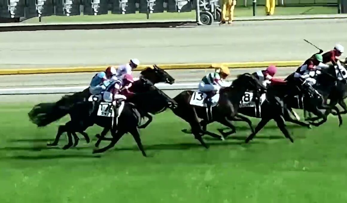 日本ダービーGⅠ ゴール前4ハロン800m50秒 皐月賞馬松山弘平ロブチェンが二冠制覇 東京競馬場 2026/05/31