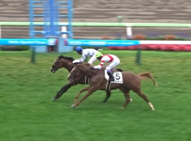 【来年のクラシック候補はここにいる】函館芝1800mに評判馬集結！アルデシンザンvs武豊イッペイvsデアグランツ【2歳新馬戦】