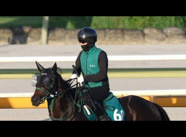 🐎🔥【超良血馬デビュー】父母はスプリンターズS覇者＆2着！ディーエスシン、小倉で衝撃デビューへ✨