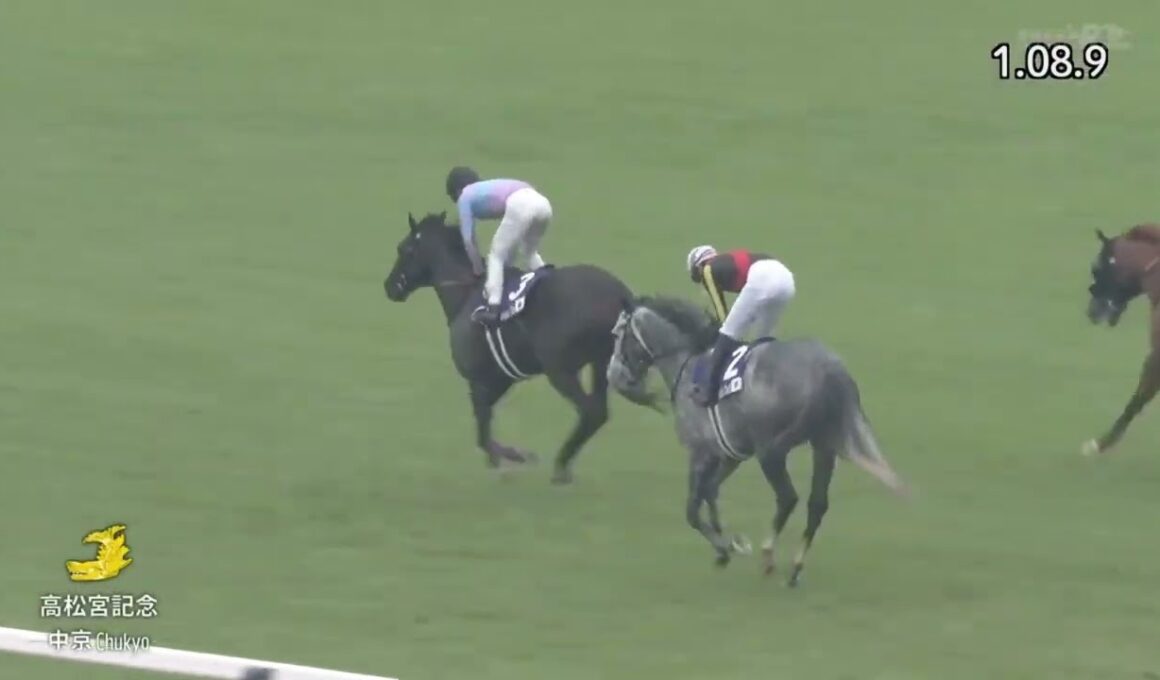2024年 第54回 高松宮記念(G1)(マッドクール、坂井瑠星)