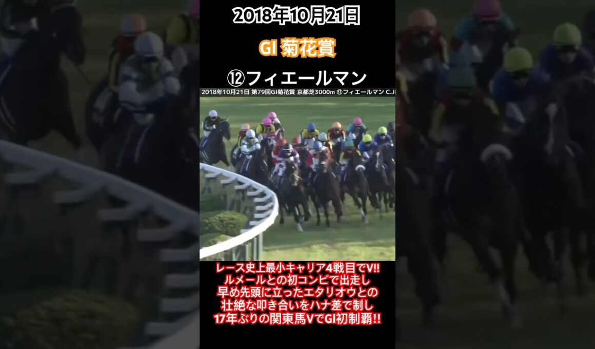 菊花賞2018 レース史上最小キャリア4戦目でV!!早め先頭に立ったエタリオウとの壮絶な叩き合いをハナ差制し17年ぶりの関東馬V!!#競馬#フィエールマン#ルメール#菊花賞#shorts