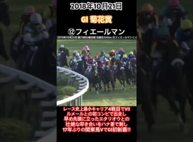 菊花賞2018 レース史上最小キャリア4戦目でV!!早め先頭に立ったエタリオウとの壮絶な叩き合いをハナ差制し17年ぶりの関東馬V!!#競馬#フィエールマン#ルメール#菊花賞#shorts