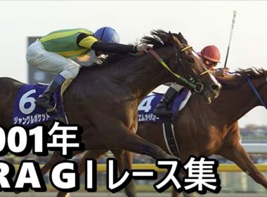 【データ付き】2001年 JRA G１ レース集