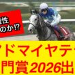 【競馬】アドマイヤテラが札幌記念から凱旋門賞2026に出走！適性はあるのか！？【競馬の反応集】