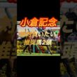 小倉記念2026 絶対買いたい推奨馬2頭紹介