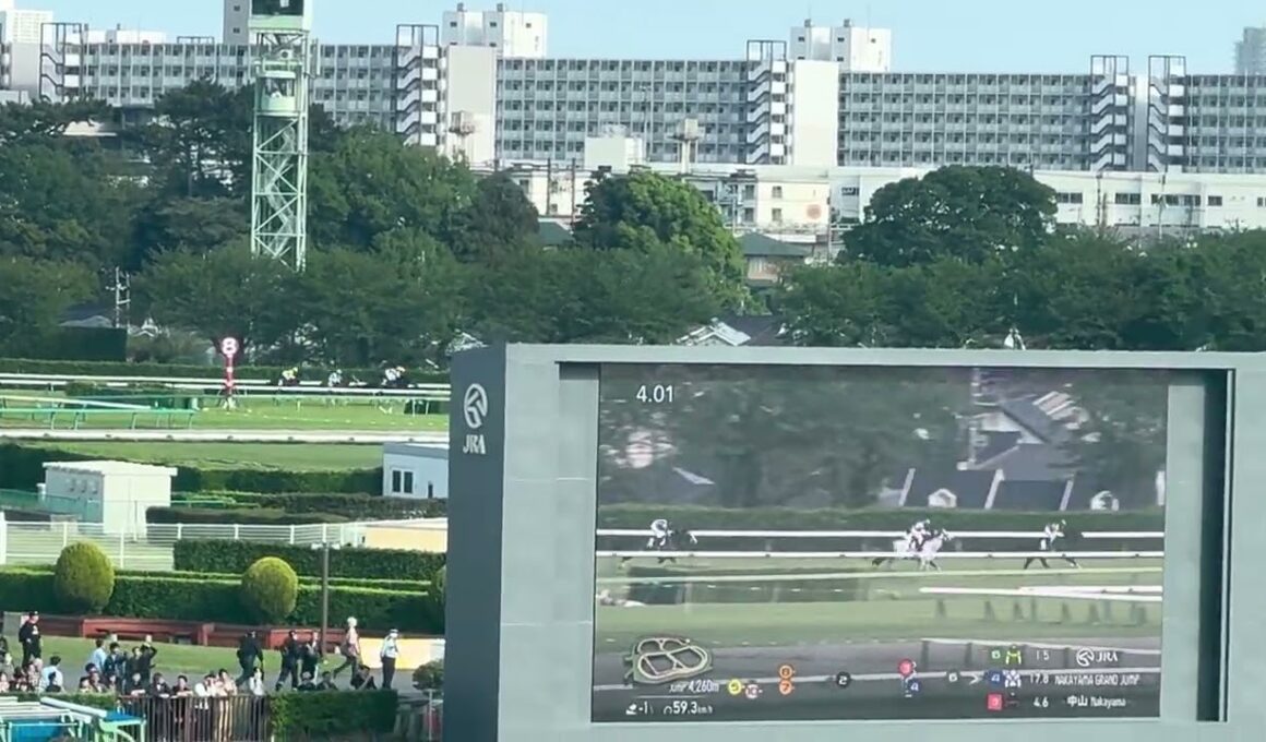 中山グランドジャンプ2026　全場無事