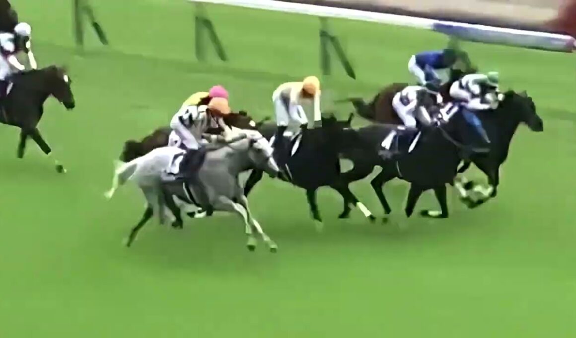 安田記念GⅠ・冒頭直線28秒＆レース3倍ズームUP18倍 シックスペンス 2026/06/07